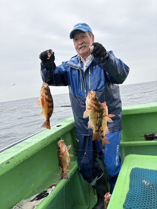 メバル