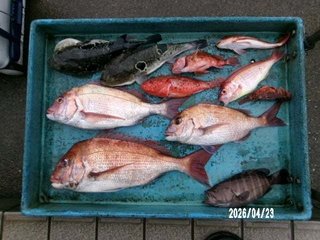 タイ