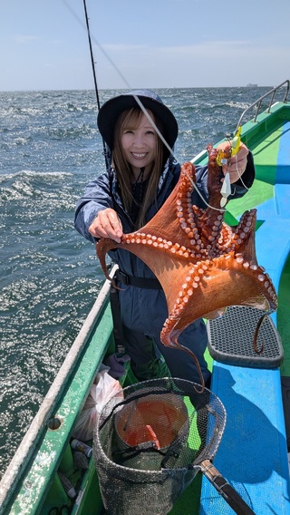マダコ