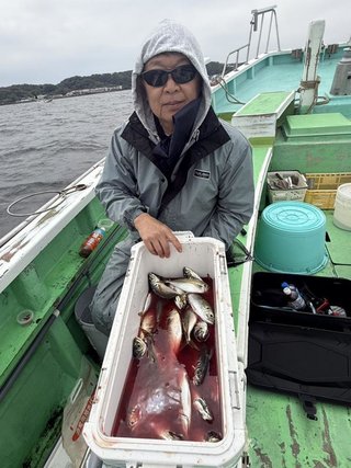 アジ