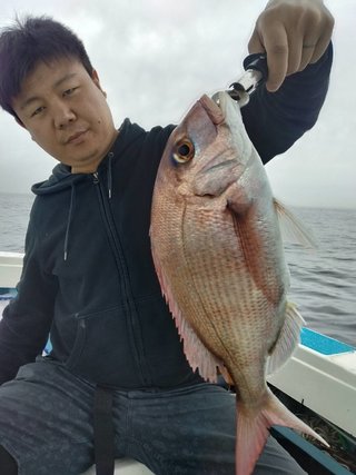 マダイ