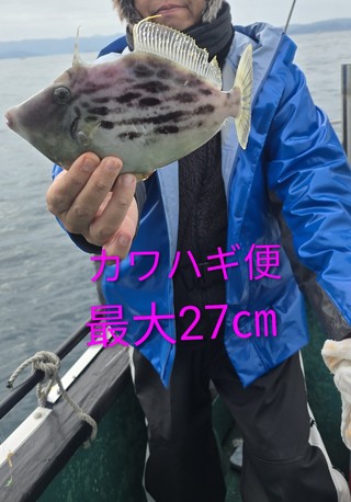 カワハギ