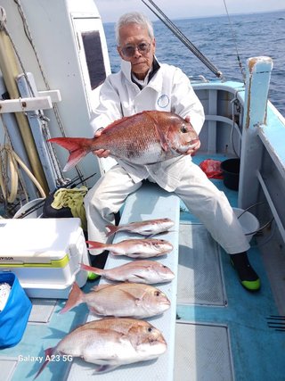 マダイ