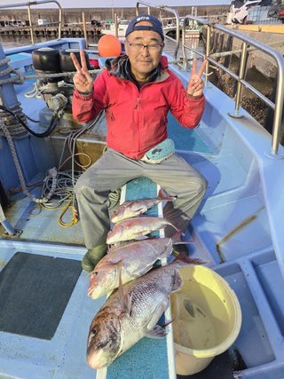 マダイ