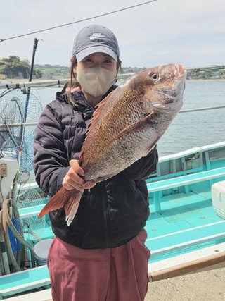 マダイ