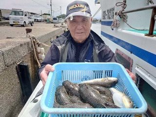 ショウサイフグ