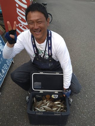 シロギス