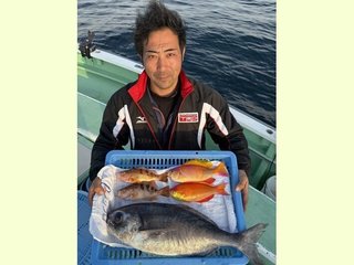 メダイ