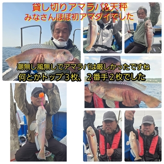 シロアマダイ