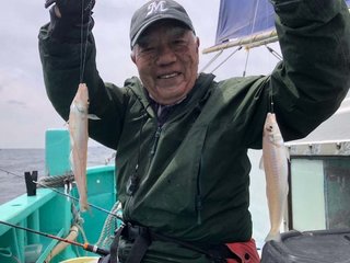 シロギス