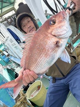 マダイ