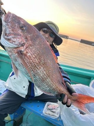 マダイ
