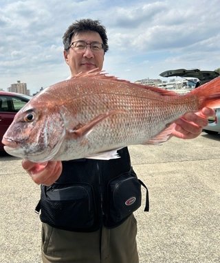 マアジ