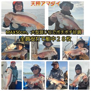 シロアマダイ