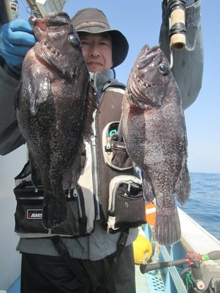 ウッカリカサゴ