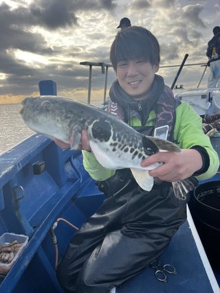 ショウサイフグ