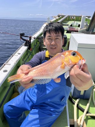 アマダイ