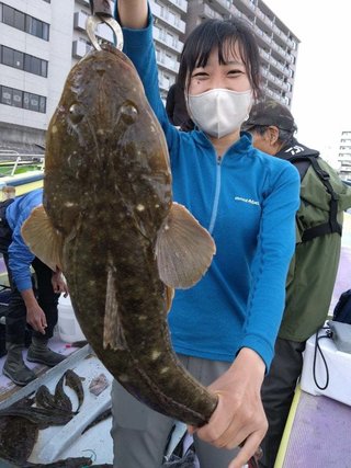 マゴチ