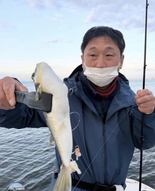 ショウサイフグ