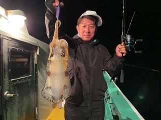 アオリイカ