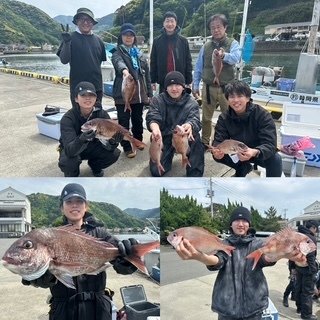 マダイ
