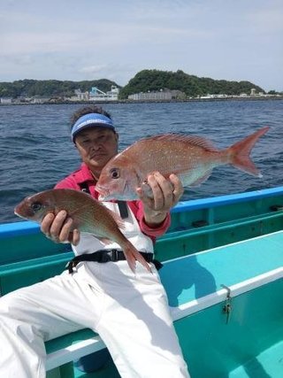 マダイ