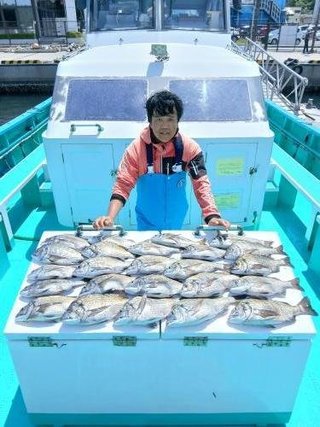 クロダイ