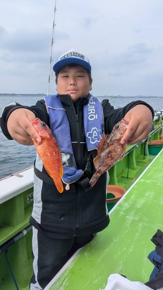 カサゴ