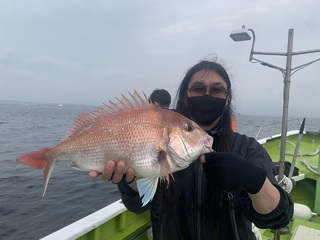 マダイ
