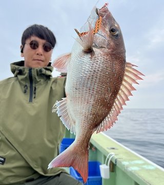 マダイ