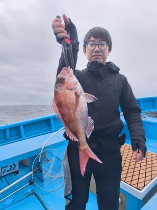 マダイ