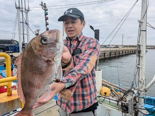 マダイ