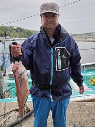 アジ