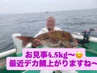 マダイ