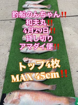 シロアマダイ
