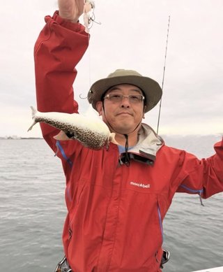 ショウサイフグ