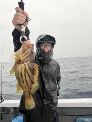 オオモンハタ