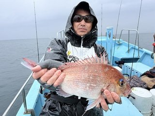 マダイ