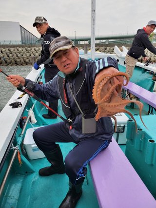 タコ