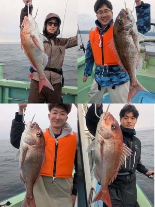 マダイ