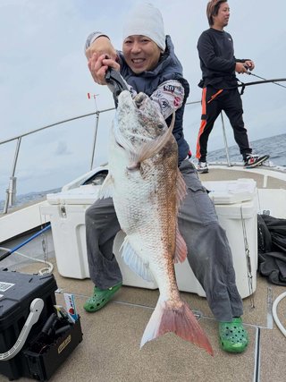 マダイ