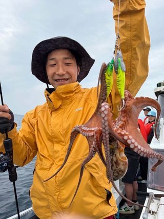 タコ