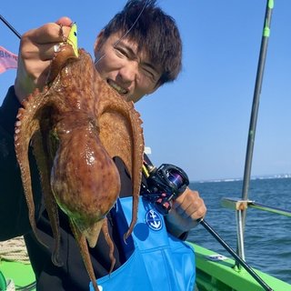 マダコ