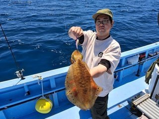 アオリイカ