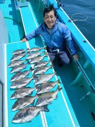 クロダイ