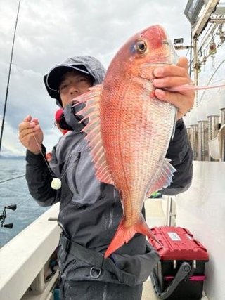 マダイ