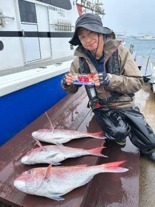 マダイ