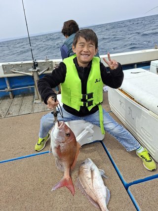 マダイ