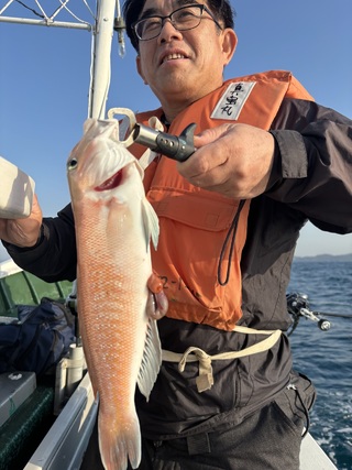 シロアマダイ