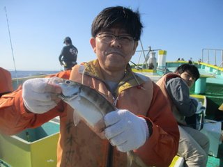 アジ